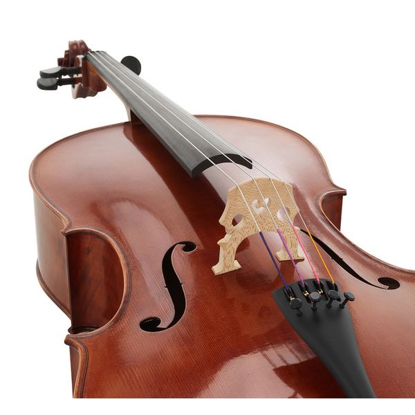 Détail 4 — Gewa Maestro 31 Cello 4/4