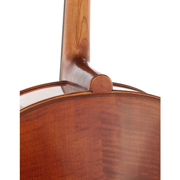 Détail 9 — Gewa Maestro 31 Cello 4/4