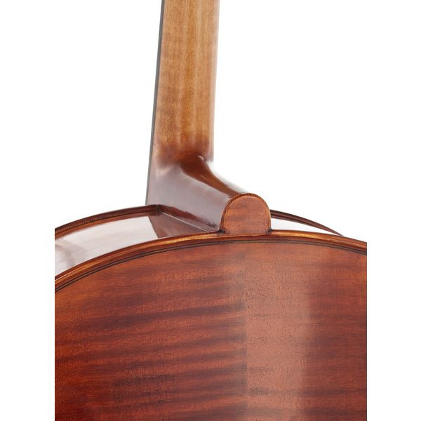 Détail 9 — Gewa Maestro 31 Antique Cello 4/4