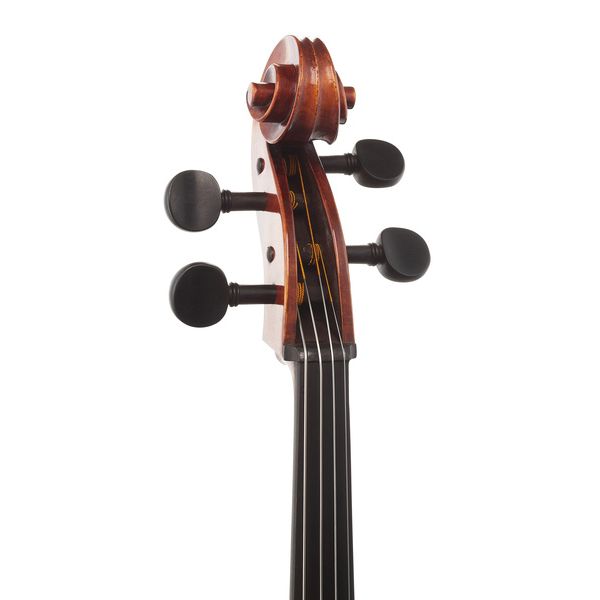 Détail 10 — Gewa Maestro 31 Antique Cello 4/4
