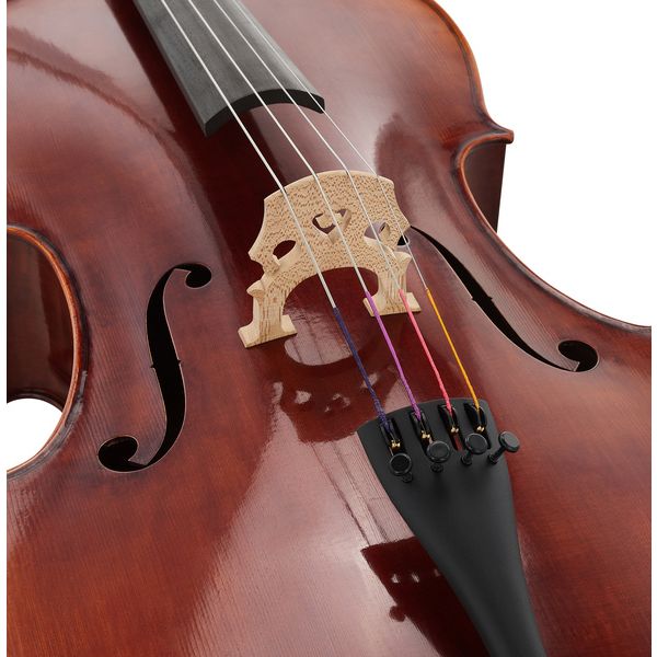 Détail 5 — Gewa Maestro 31 Antique Cello 4/4