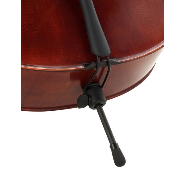 Détail 8 — Gewa Maestro 31 Antique Cello 4/4