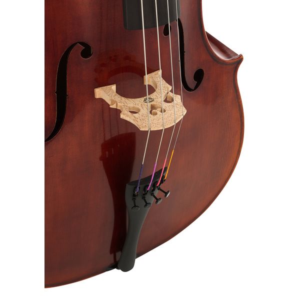 Détail 6 — Gewa Maestro 31 Antique Cello 4/4