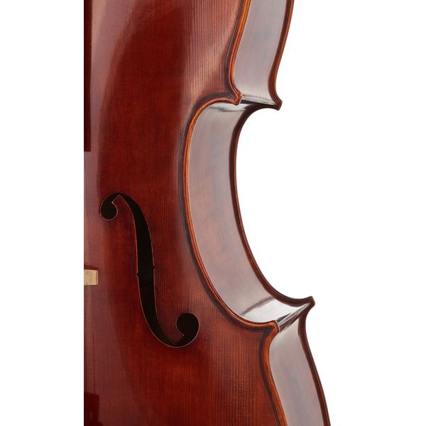 Détail 7 — Gewa Maestro 31 Antique Cello 4/4