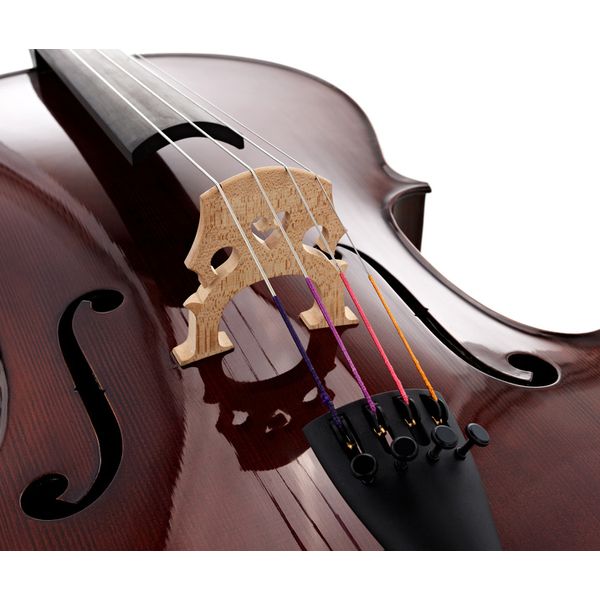 Détail 5 — Gewa Georg Walther Concert Cello RB