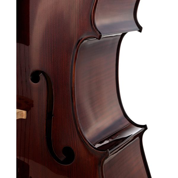 Détail 6 — Gewa Georg Walther Concert Cello RB