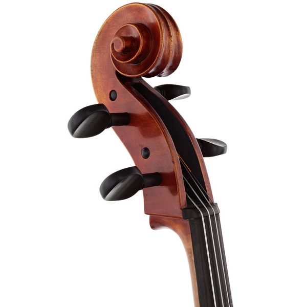 Détail 10 — Gewa Maestro 46 Cello 4/4