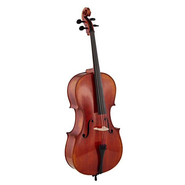 Détail 2 — Gewa Maestro 46 Cello 4/4