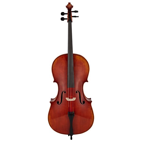 Détail 1 — Gewa Maestro 46 Cello 4/4