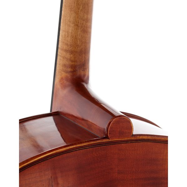 Détail 9 — Gewa Maestro 46 Cello 4/4