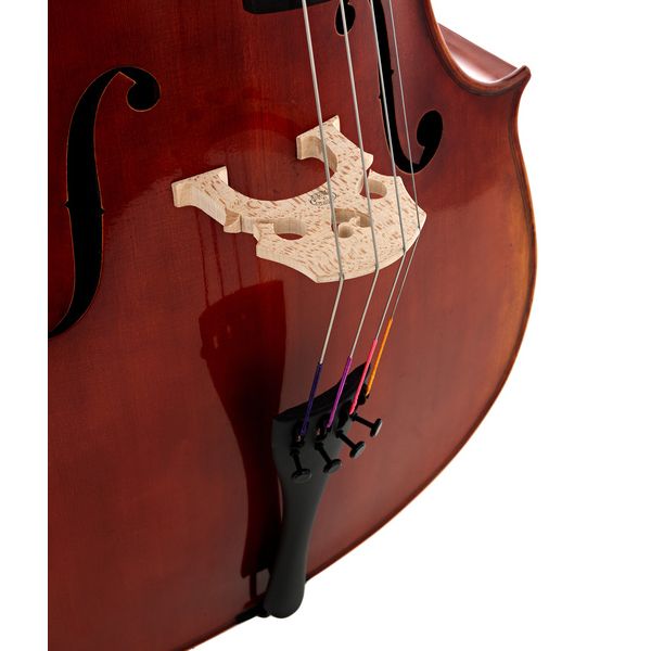 Détail 7 — Gewa Maestro 46 Cello 4/4