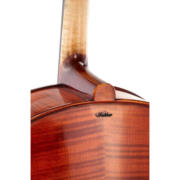 Détail 9 — Gewa Georg Walther Concert Cello MO