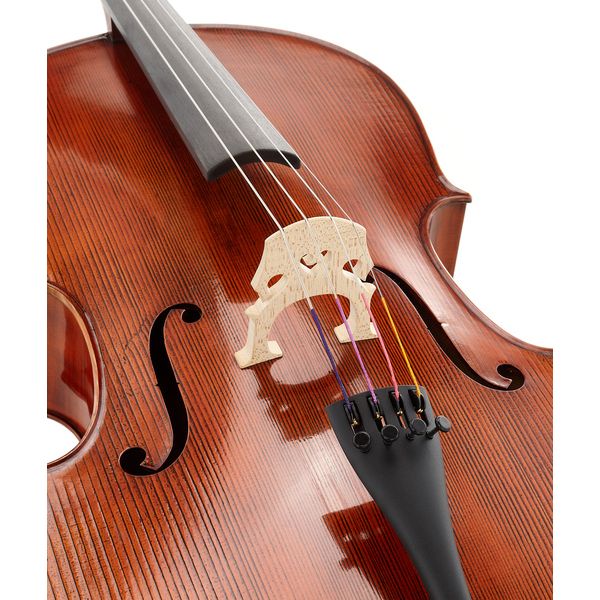 Détail 4 — Gewa Georg Walther Concert Cello MO