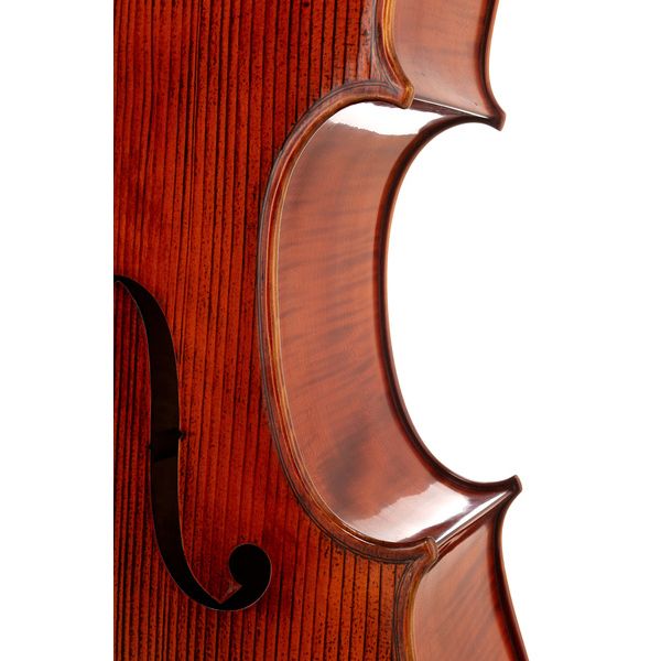 Détail 6 — Gewa Georg Walther Concert Cello MO