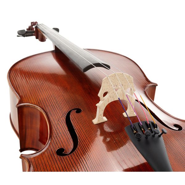 Détail 5 — Gewa Georg Walther Concert Cello MO