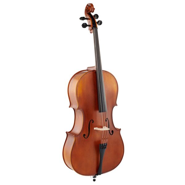 Détail 2 — Karl Höfner H4/2A-C Cello 7/8