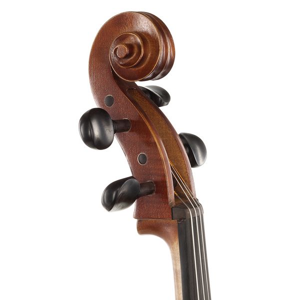 Détail 10 — Gewa Allegro VC1 Cello 7/8