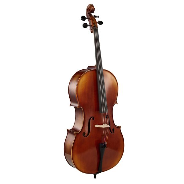 Détail 2 — Gewa Allegro VC1 Cello 1/16