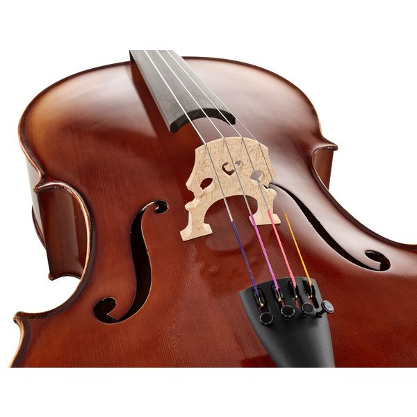 Détail 8 — Gewa Allegro VC1 Cello 1/16