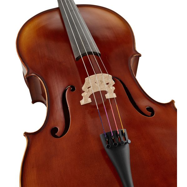 Détail 7 — Gewa Allegro VC1 Cello 1/16