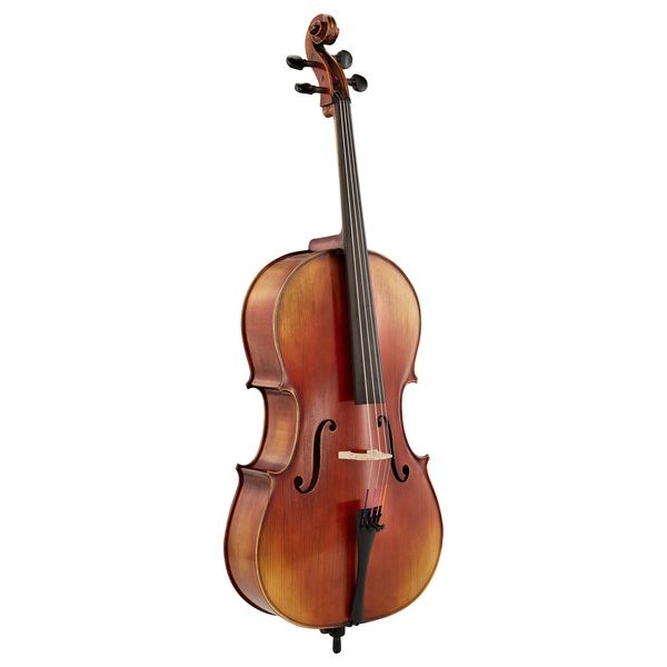 Détail 2 — Gewa Allegro VC1 A Cello 1/2 MB