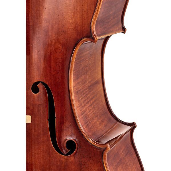 Détail 6 — Gewa Maestro 26 Cello 4/4