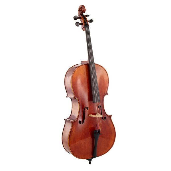 Détail 2 — Gewa Maestro 26 Cello 4/4