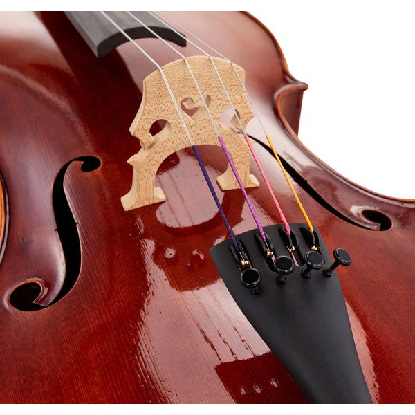 Détail 5 — Gewa Maestro 26 Cello 4/4