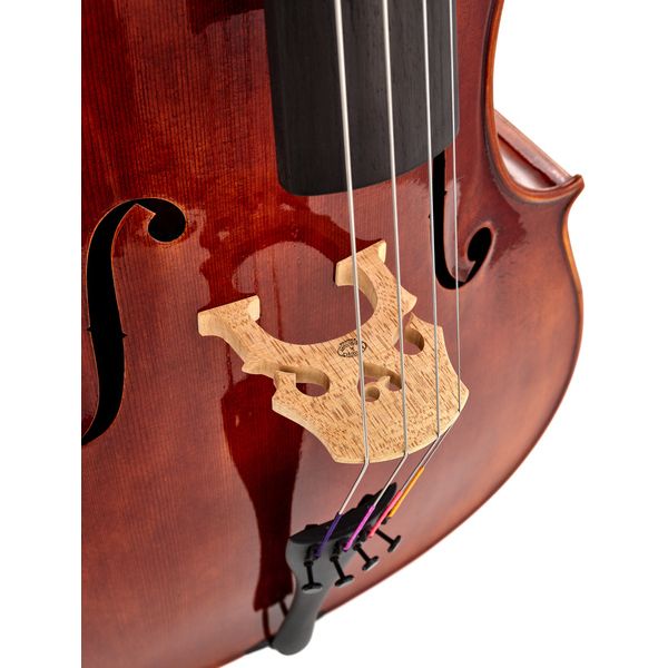 Détail 7 — Gewa Maestro 26 Cello 4/4