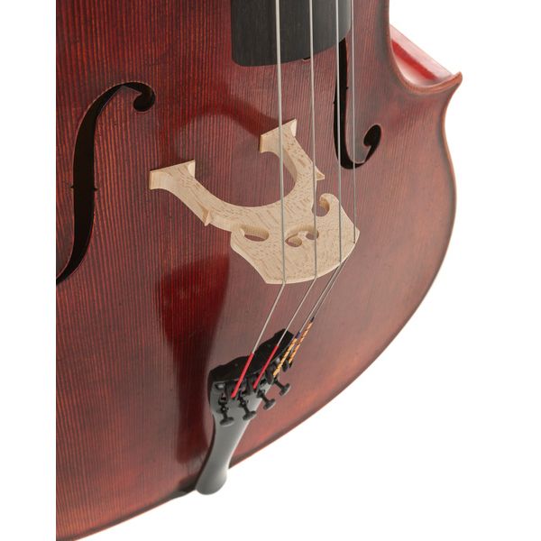 Détail 9 — Scala Vilagio Scuola Italiana Cello Guarneri