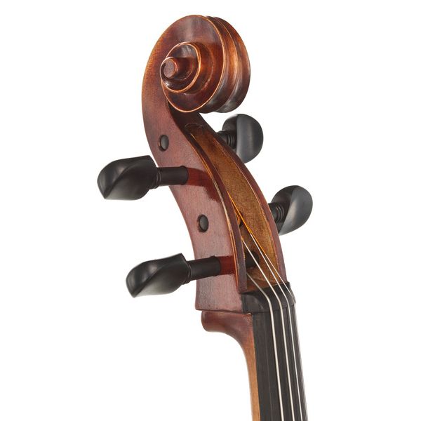 Détail 9 — Gewa Maestro 2 Cello 1/2