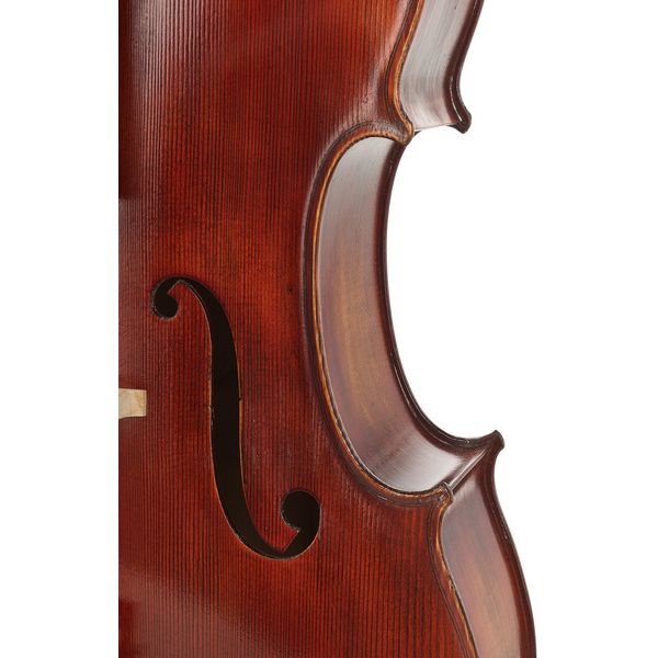 Détail 5 — Gewa Maestro 2 Cello 3/4
