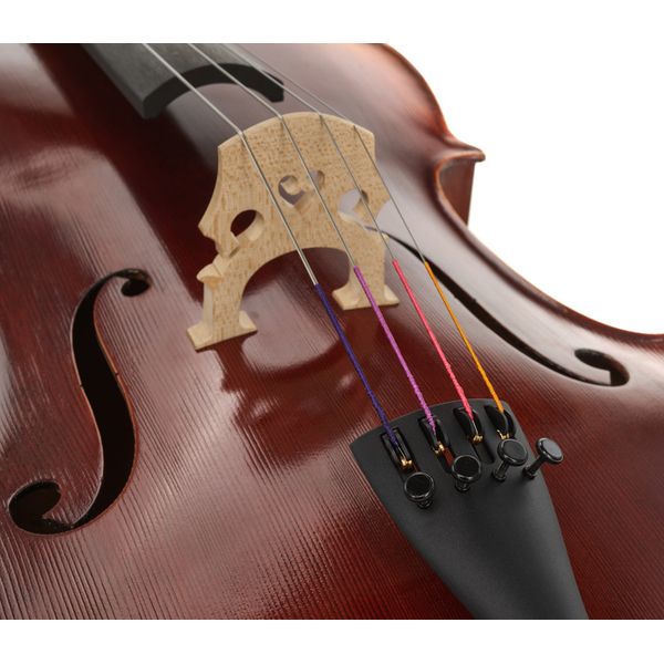 Détail 4 — Gewa Maestro 2 Cello 3/4