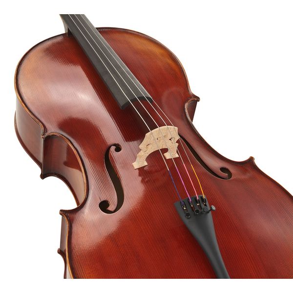 Détail 2 — Gewa Maestro 2 Cello Set 1/4 CB