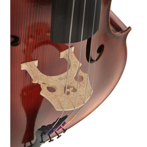 Détail 6 — Gewa Maestro 2 Cello Set 1/4 CB
