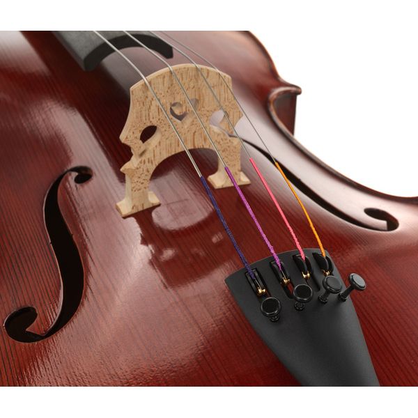 Détail 4 — Gewa Maestro 2 Cello Set 1/4 CB