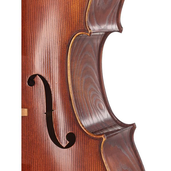 Détail 6 — Walter Mahr Cello Stradivari Ash Wood 4/4