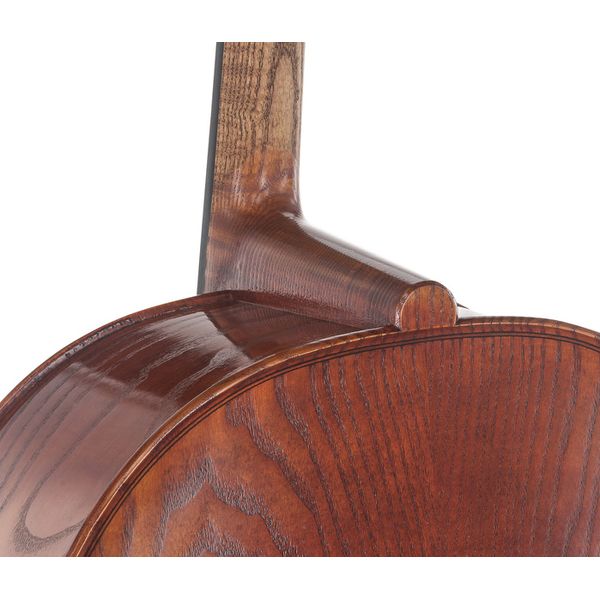 Détail 9 — Walter Mahr Cello Stradivari Ash Wood 4/4