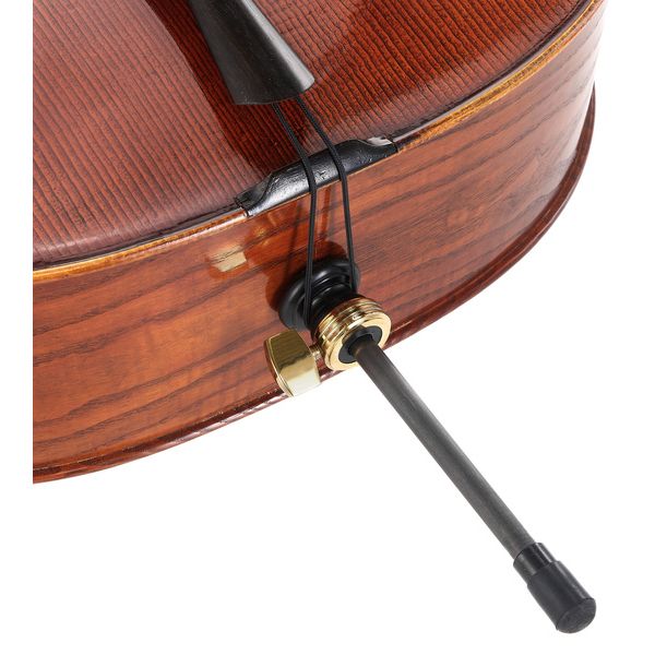 Détail 8 — Walter Mahr Cello Stradivari Ash Wood 4/4