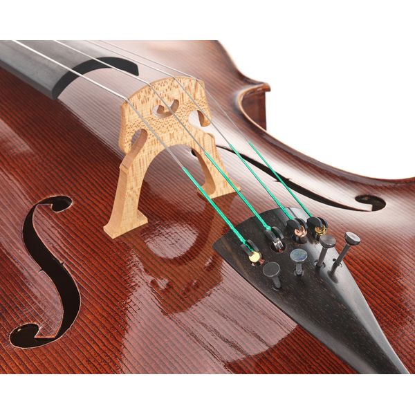 Détail 5 — Walter Mahr Cello Stradivari Ash Wood 4/4
