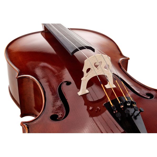 Détail 5 — Walter Mahr Cello Stradivari Spruce 4/4