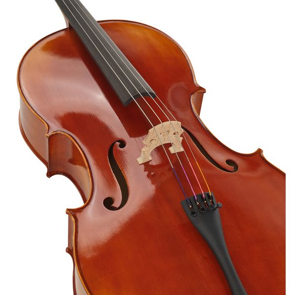 Détail 4 — Gewa Maestro 1 Cello 3/4