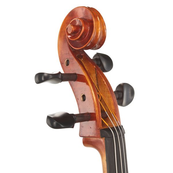 Détail 10 — Gewa Maestro 1 Cello 4/4