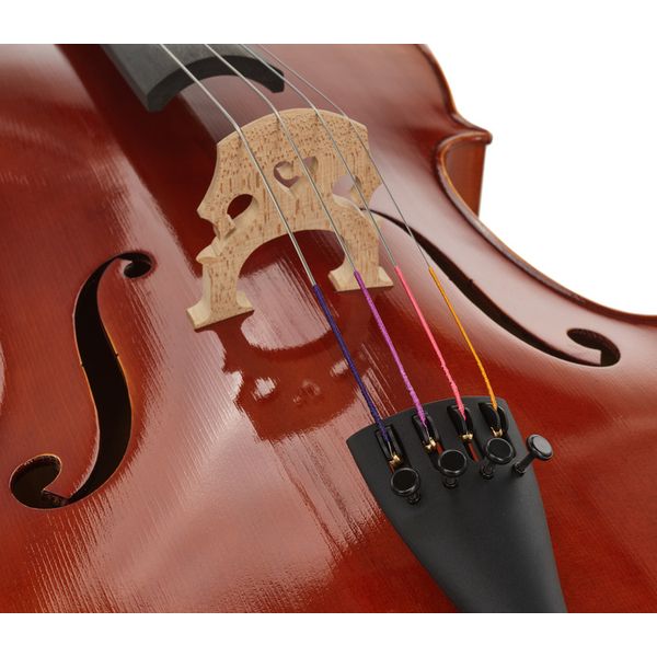 Détail 5 — Gewa Maestro 1 Cello 4/4