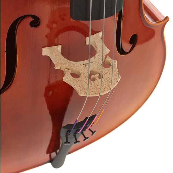 Détail 6 — Gewa Maestro 1 Cello 4/4