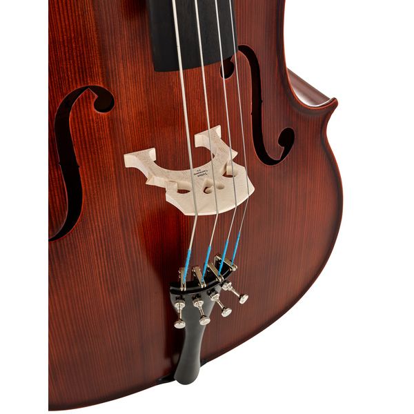 Détail 7 — Roth & Junius Europe 4/4 AS Student Cello