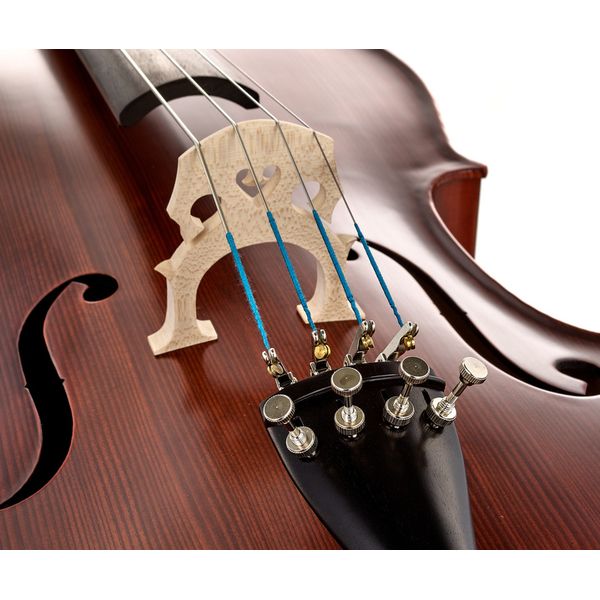 Détail 5 — Roth & Junius Europe 4/4 AS Student Cello