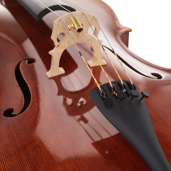 Détail 5 — Scala Vilagio Bohemia Performance Cello 7/8