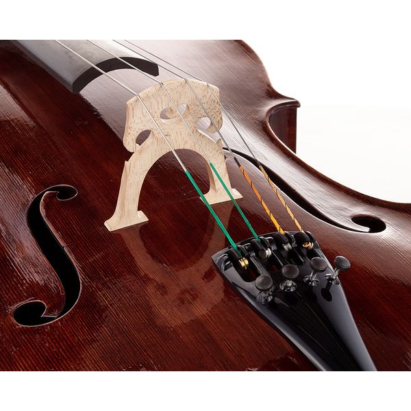 Détail 5 — Thomas Stöhr Master Cello Stradivari 4/4
