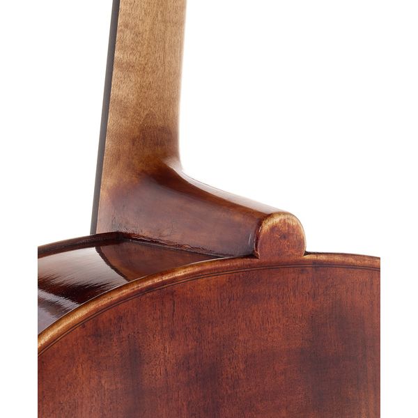 Détail 10 — Thomas Stöhr Master Cello Strad. Poplar 4/4